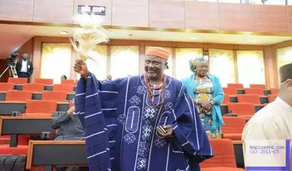 Photo: Senator Dino Melaye Appears In Senate In An Unusual Attire